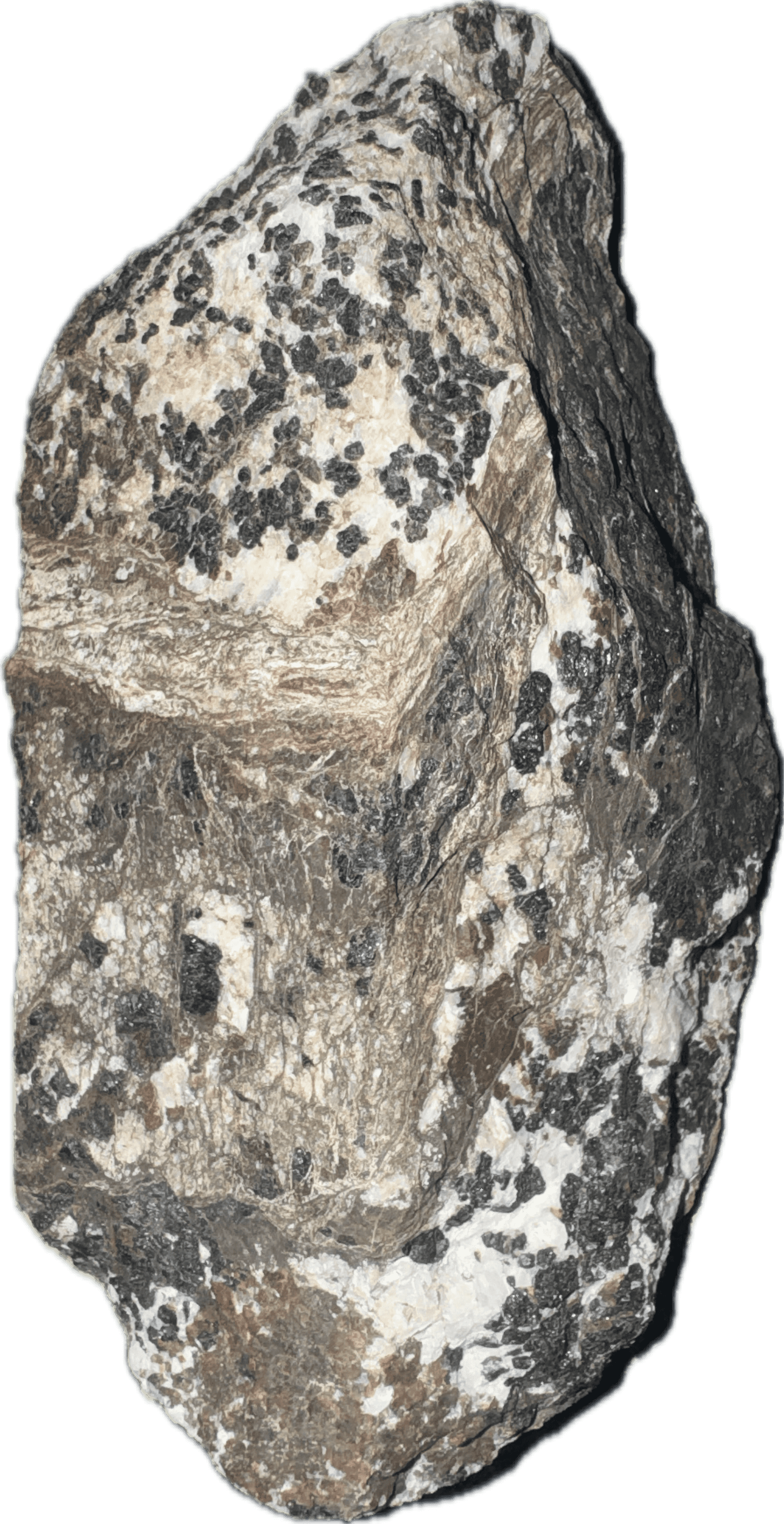 New Jersey Franklinite and Willemite
