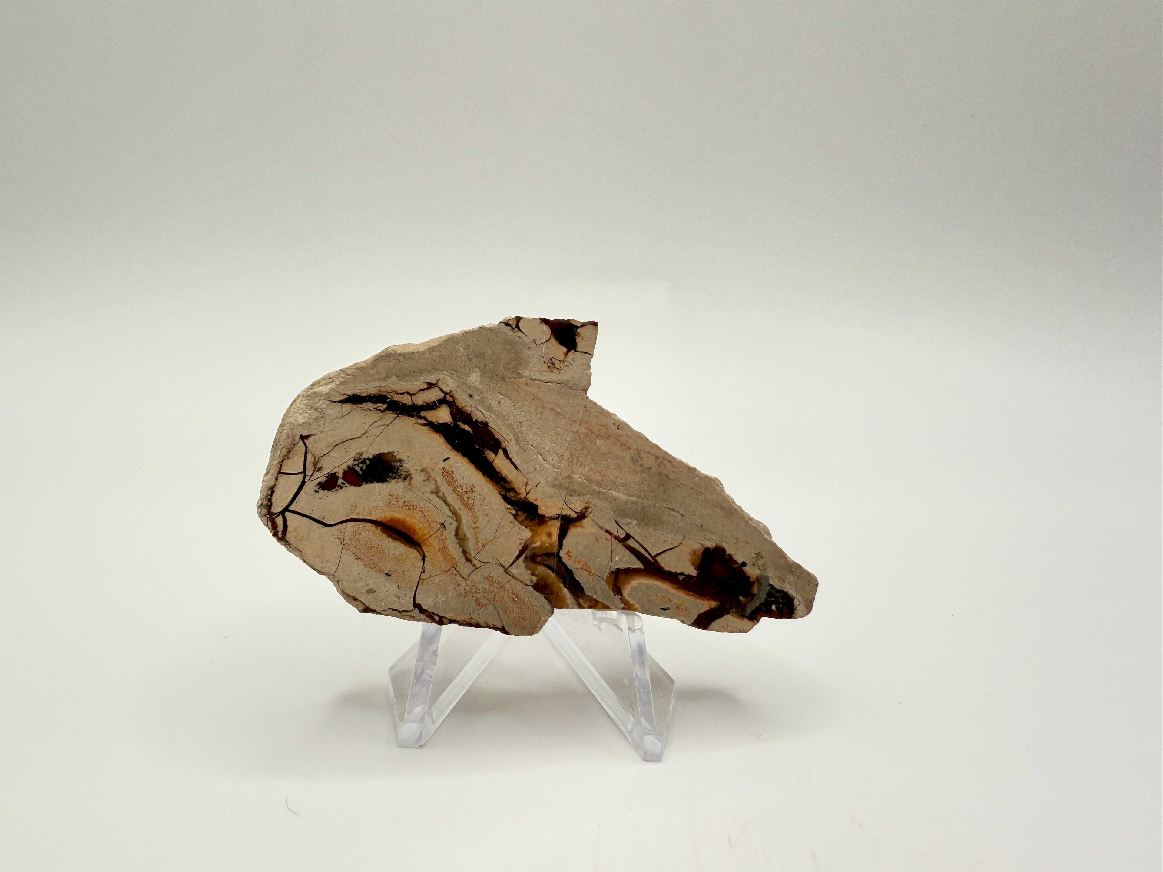 Septarian Stone