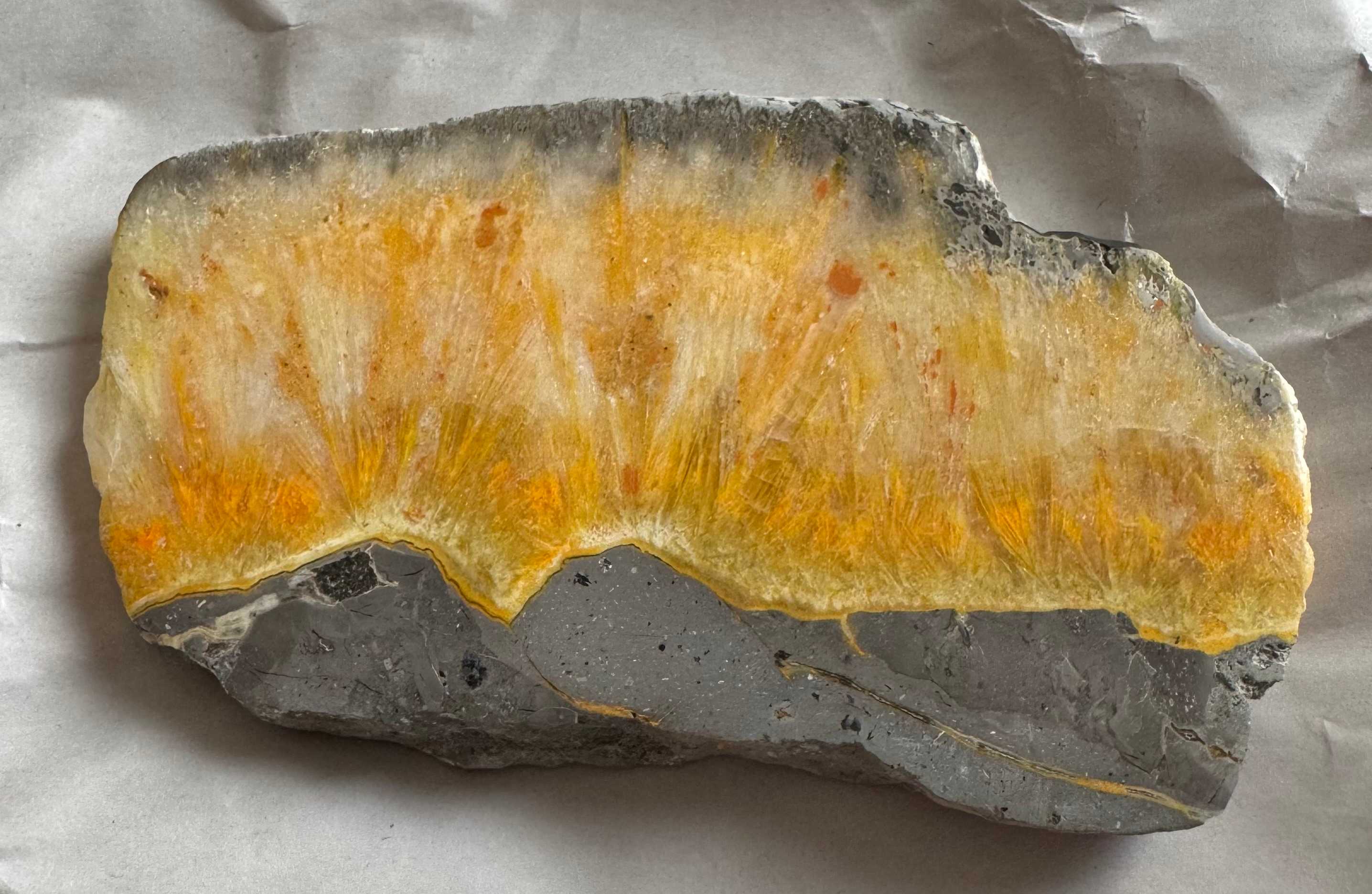 Bumblebee Jasper slab