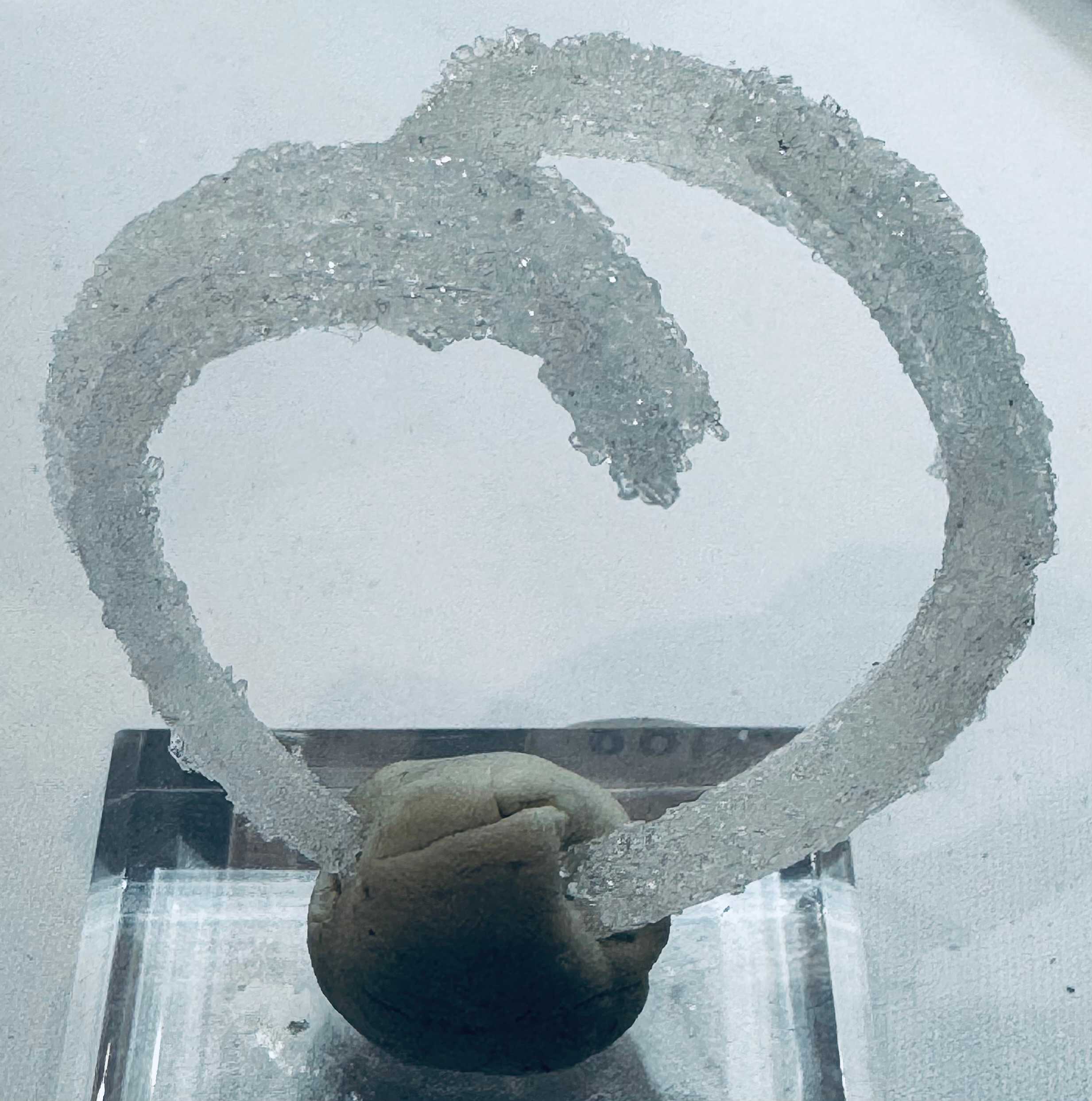 Ram’s Horn