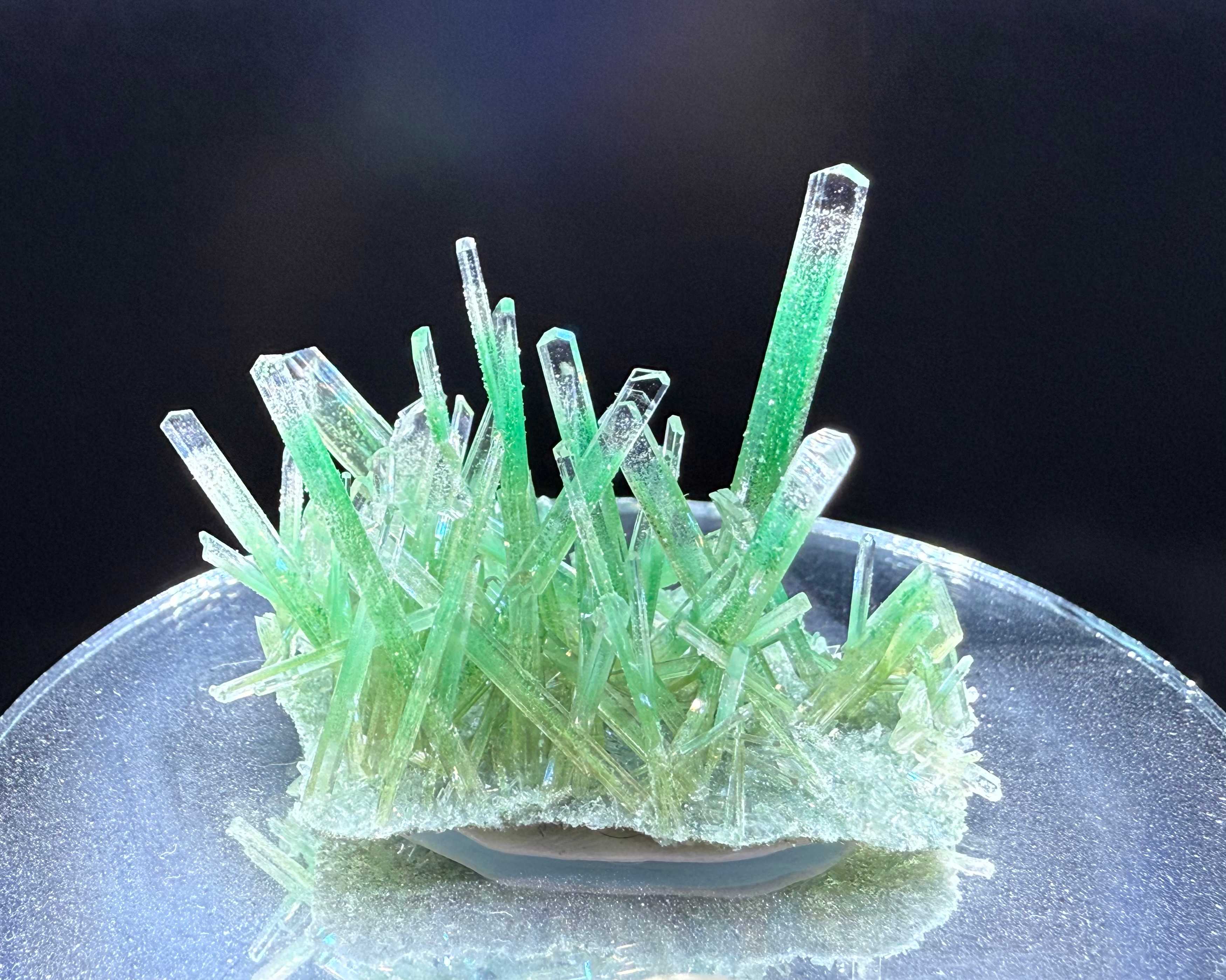 Grass Blades