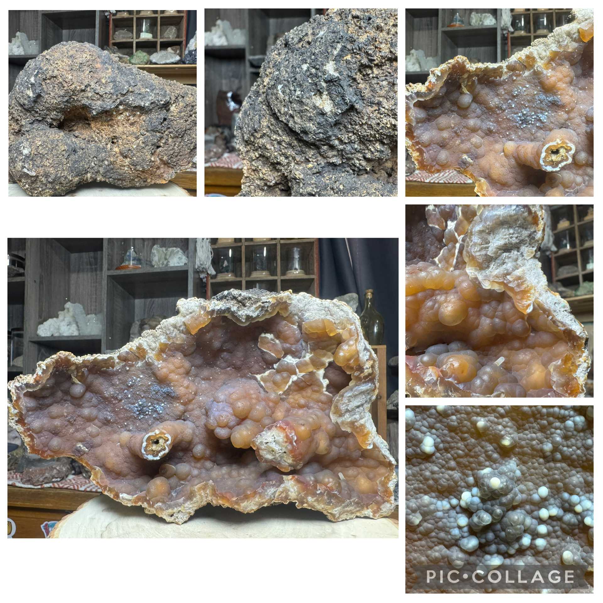 Agatized Fossil Coral Geode