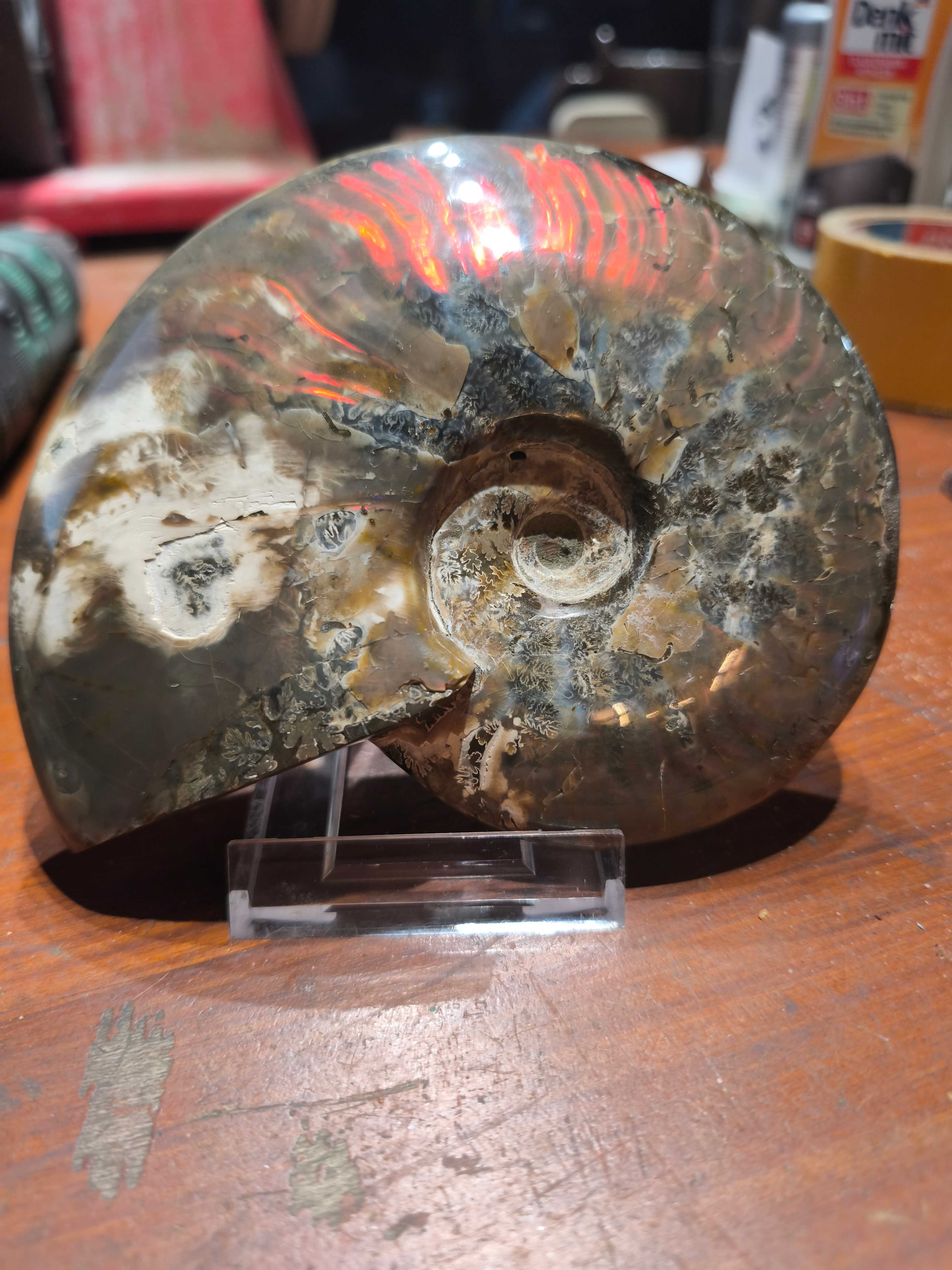 Amolite