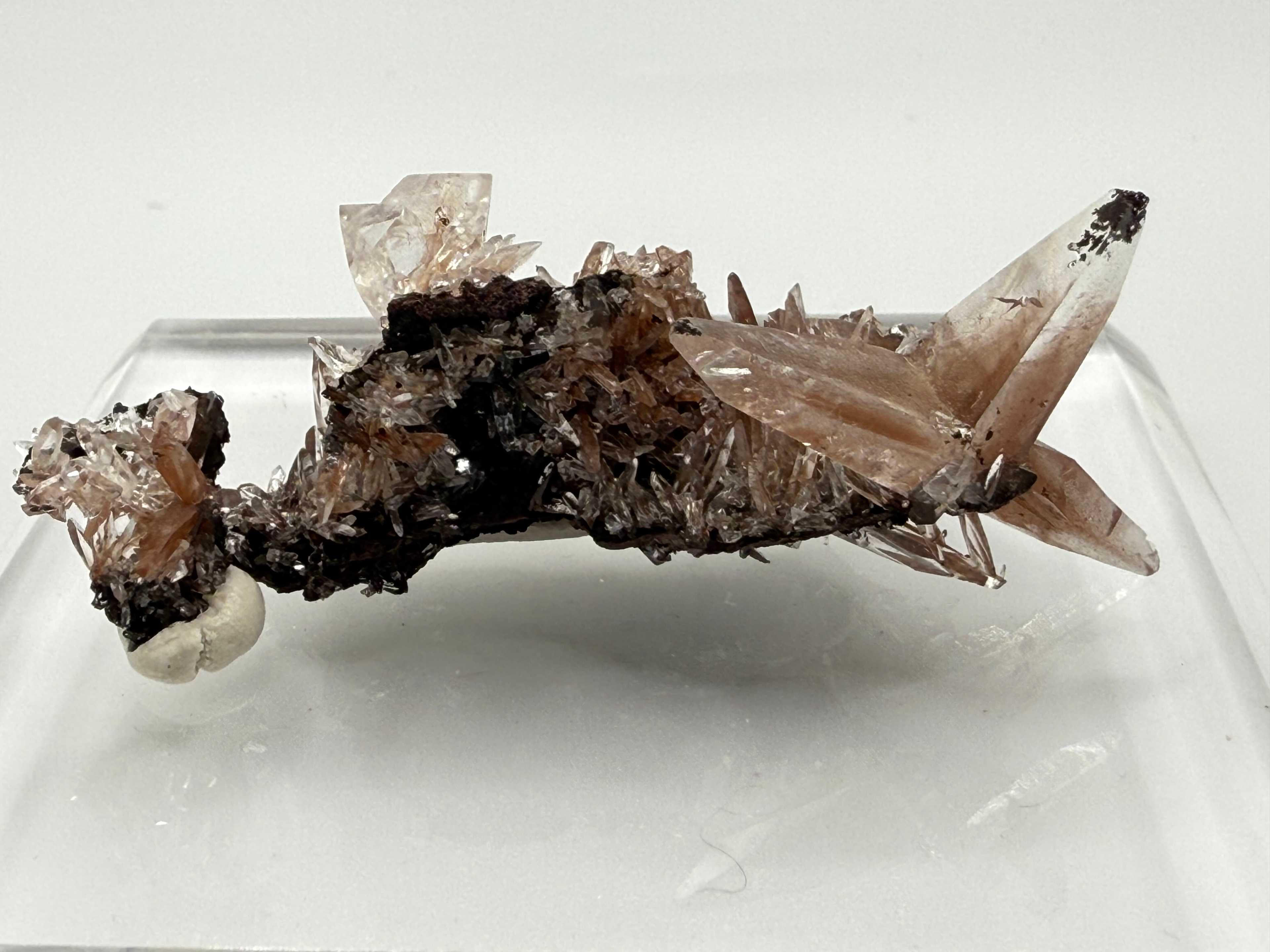 Butterfly twin calcite