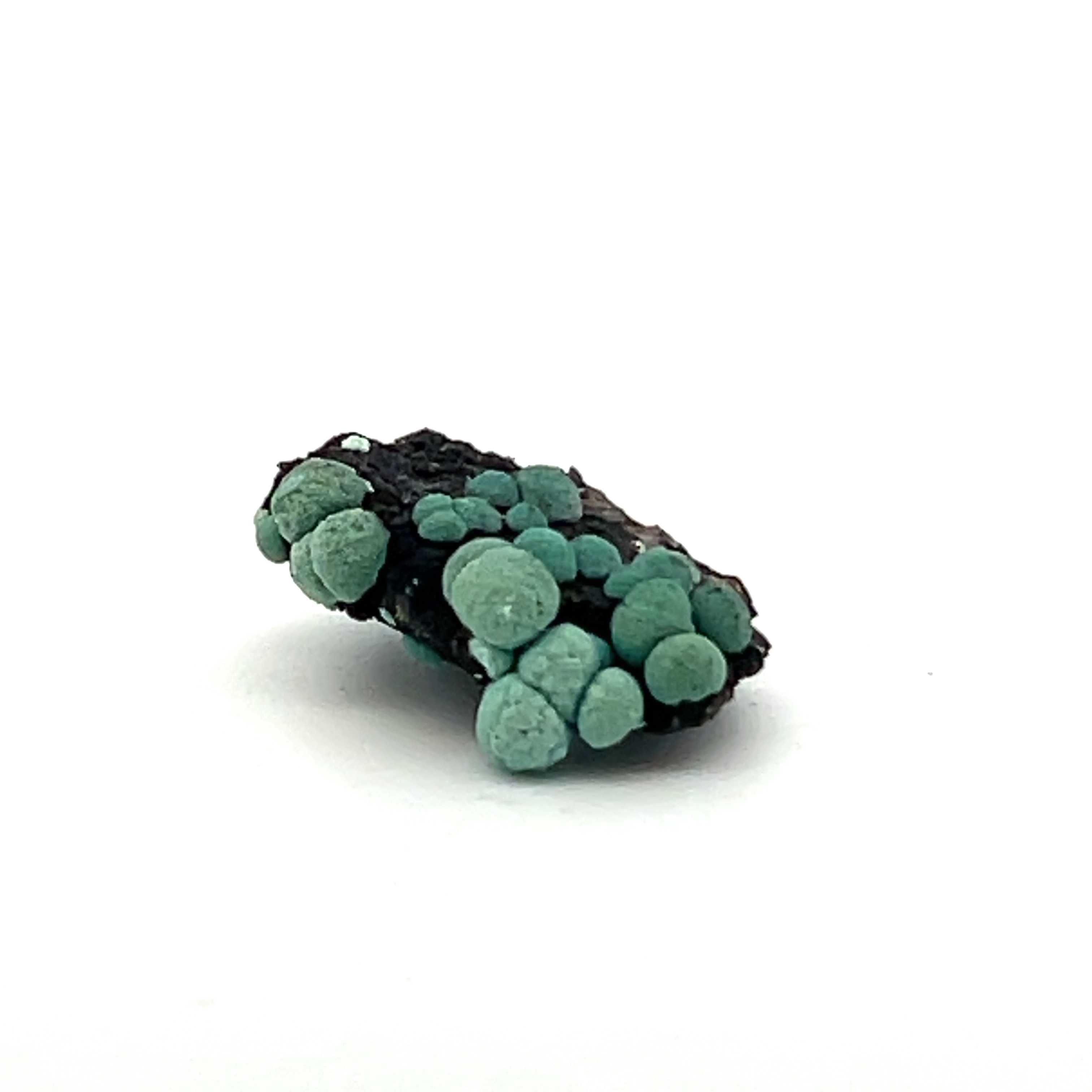 Botryoidal Chrysocolla