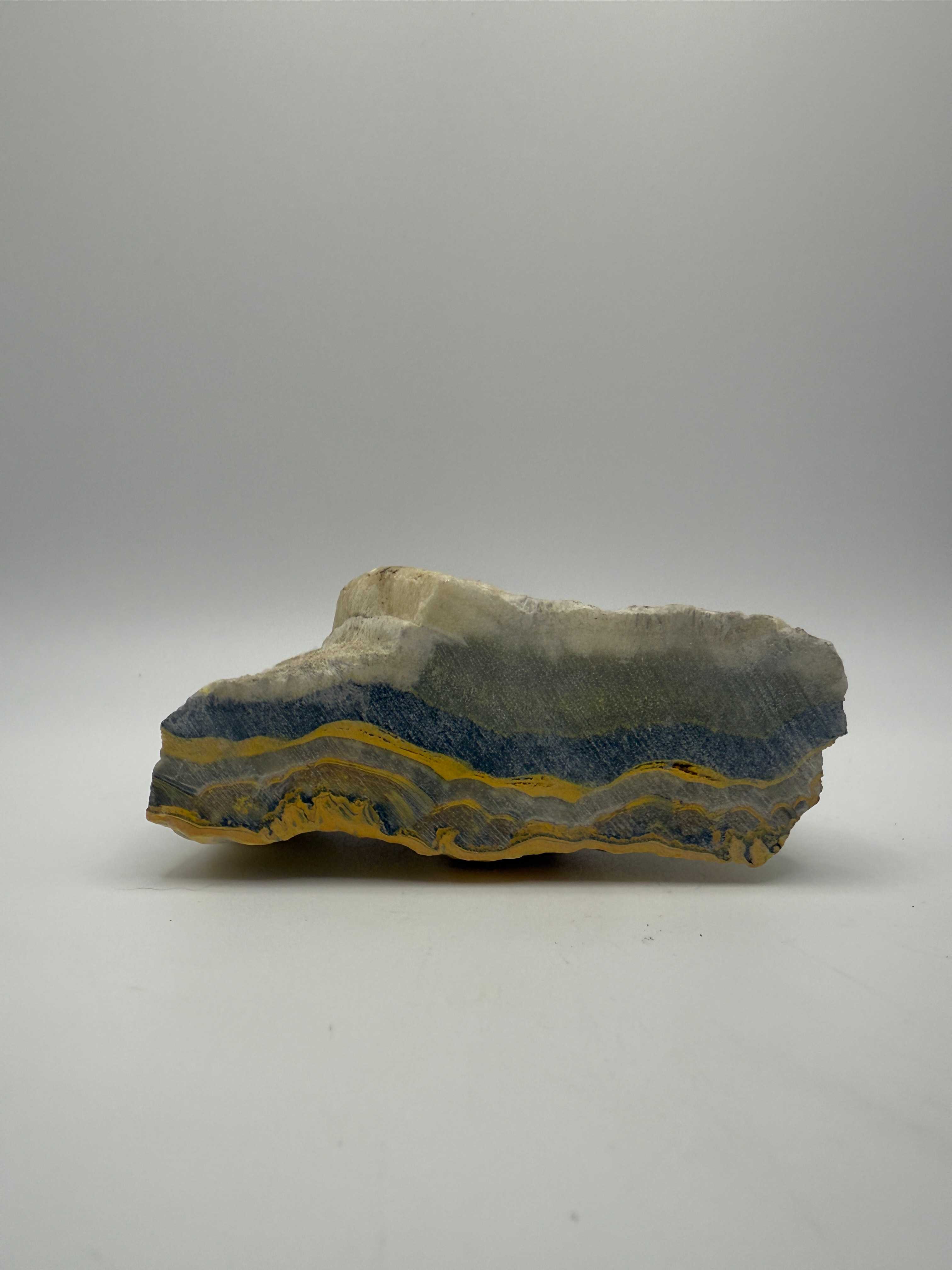 Bumblebee Jasper