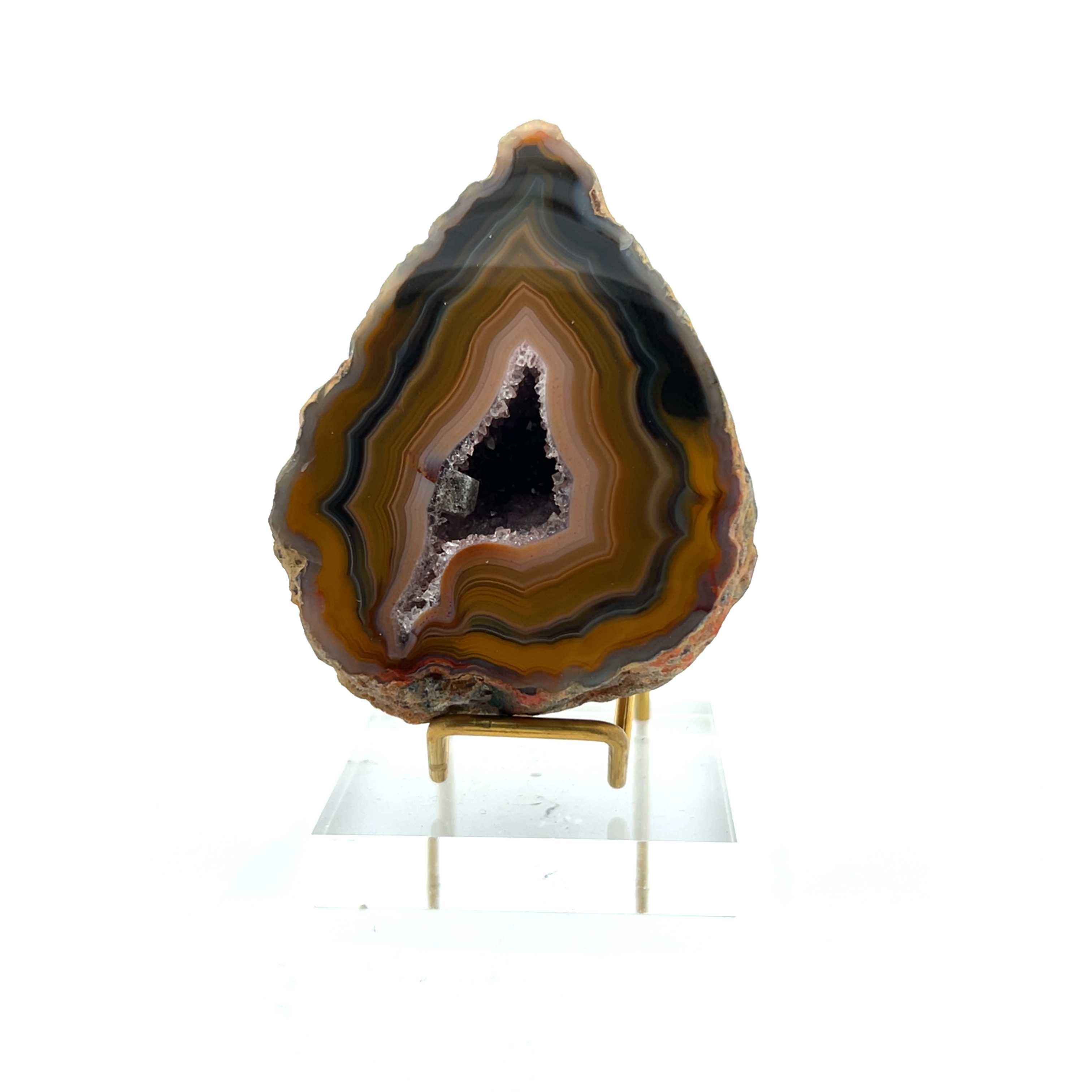 Polished Condor Agate (Quartz var. Agate)