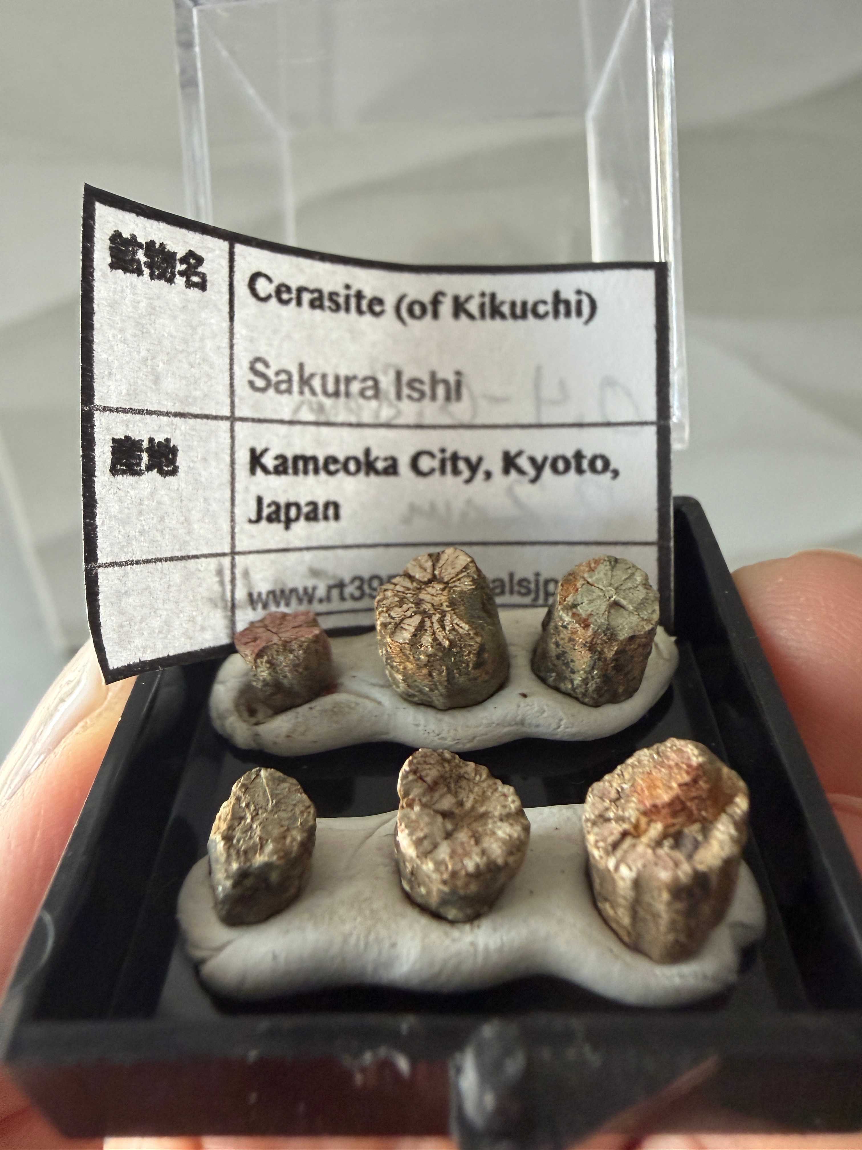 Sakura Ishi (Muscovite var. Sericite)