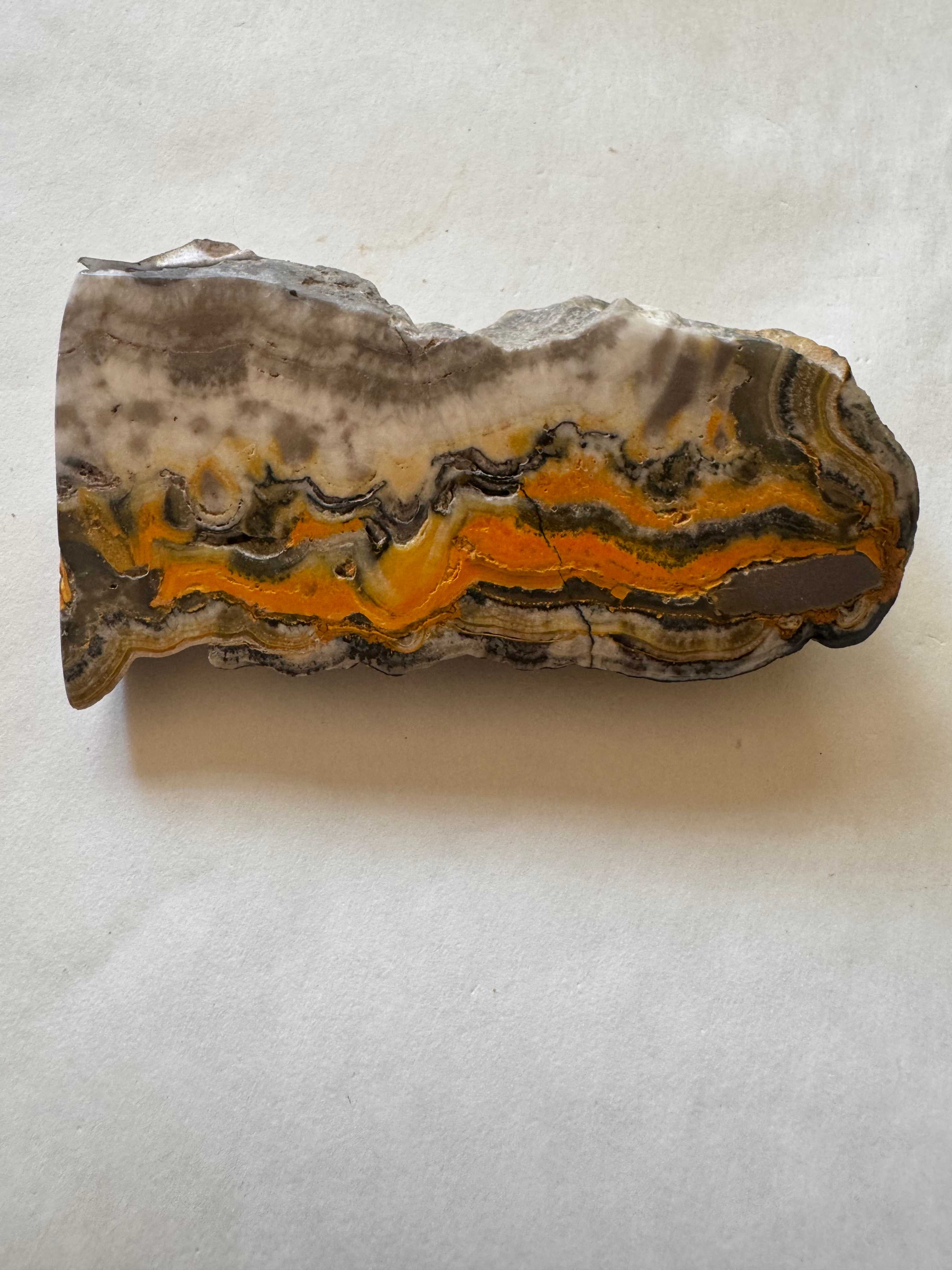  Bumblebee Jasper