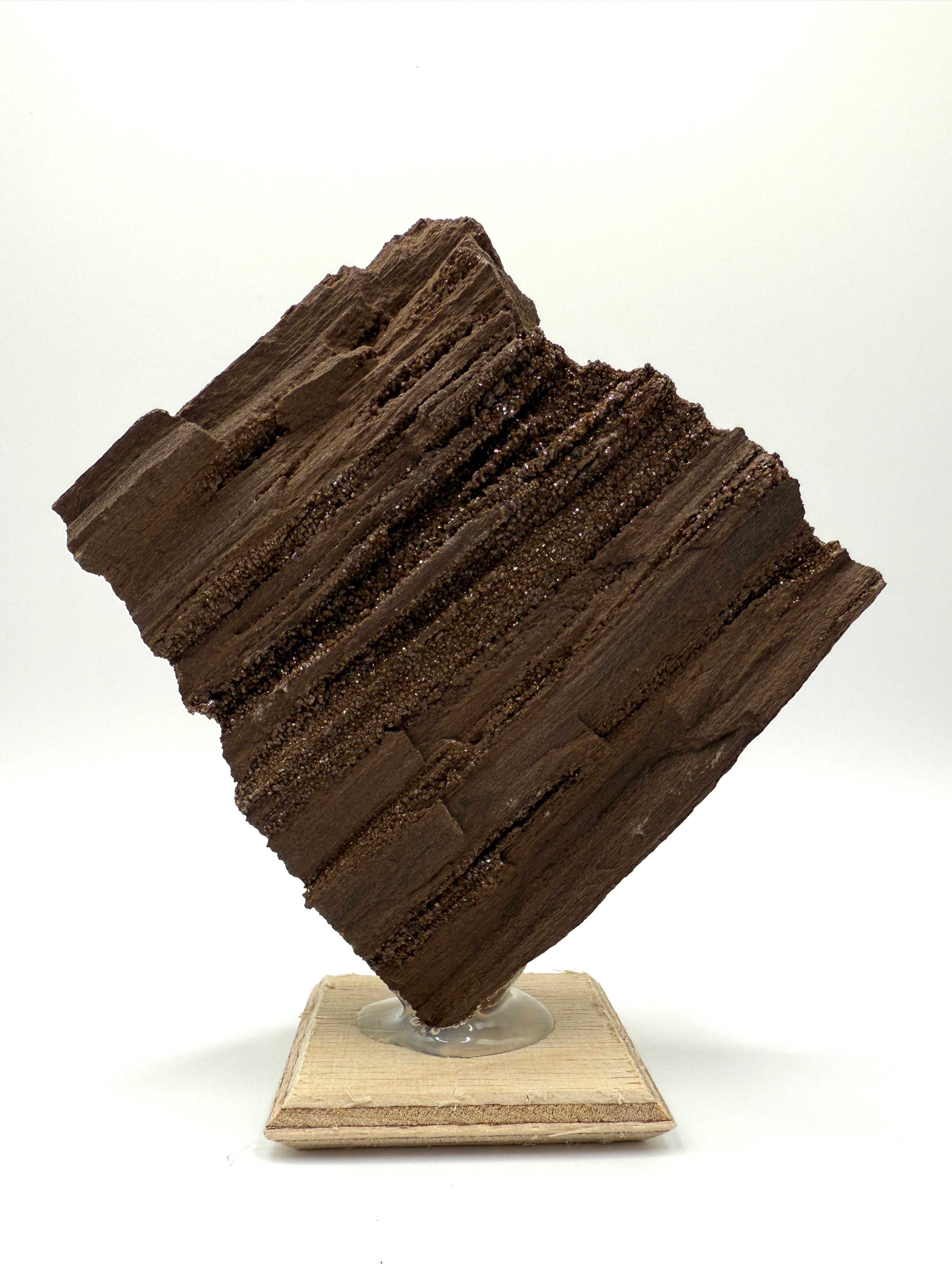 Quartz on Petrified Wood 