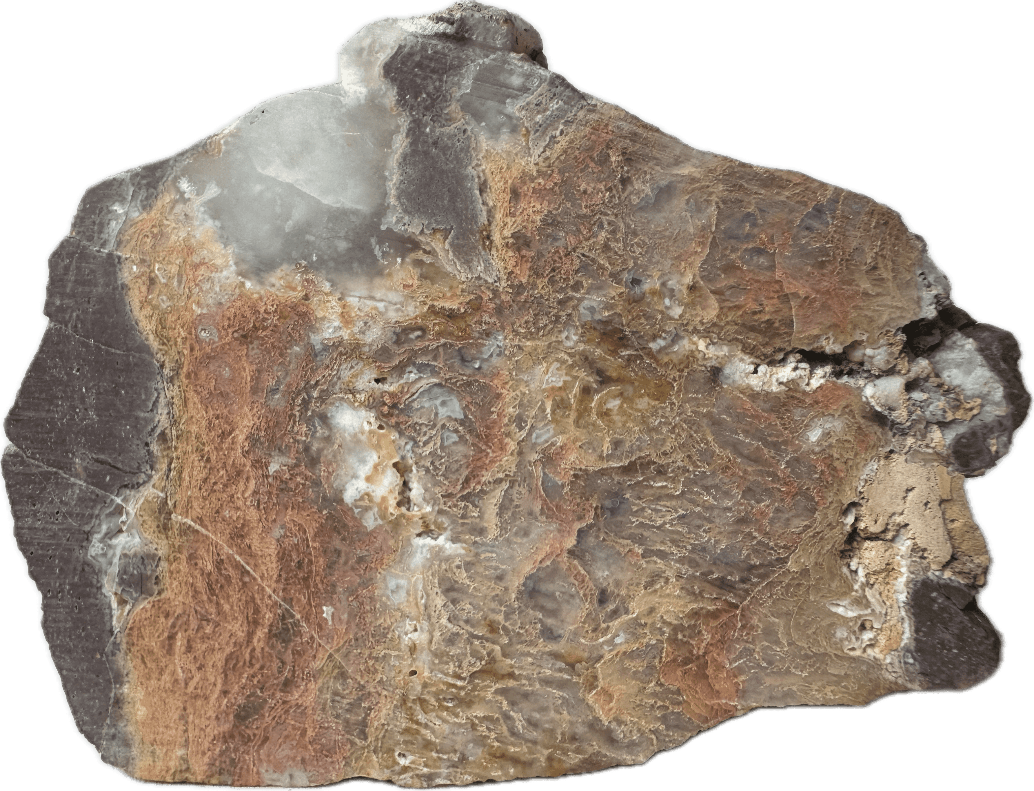 Maury Mountain Moss Agate