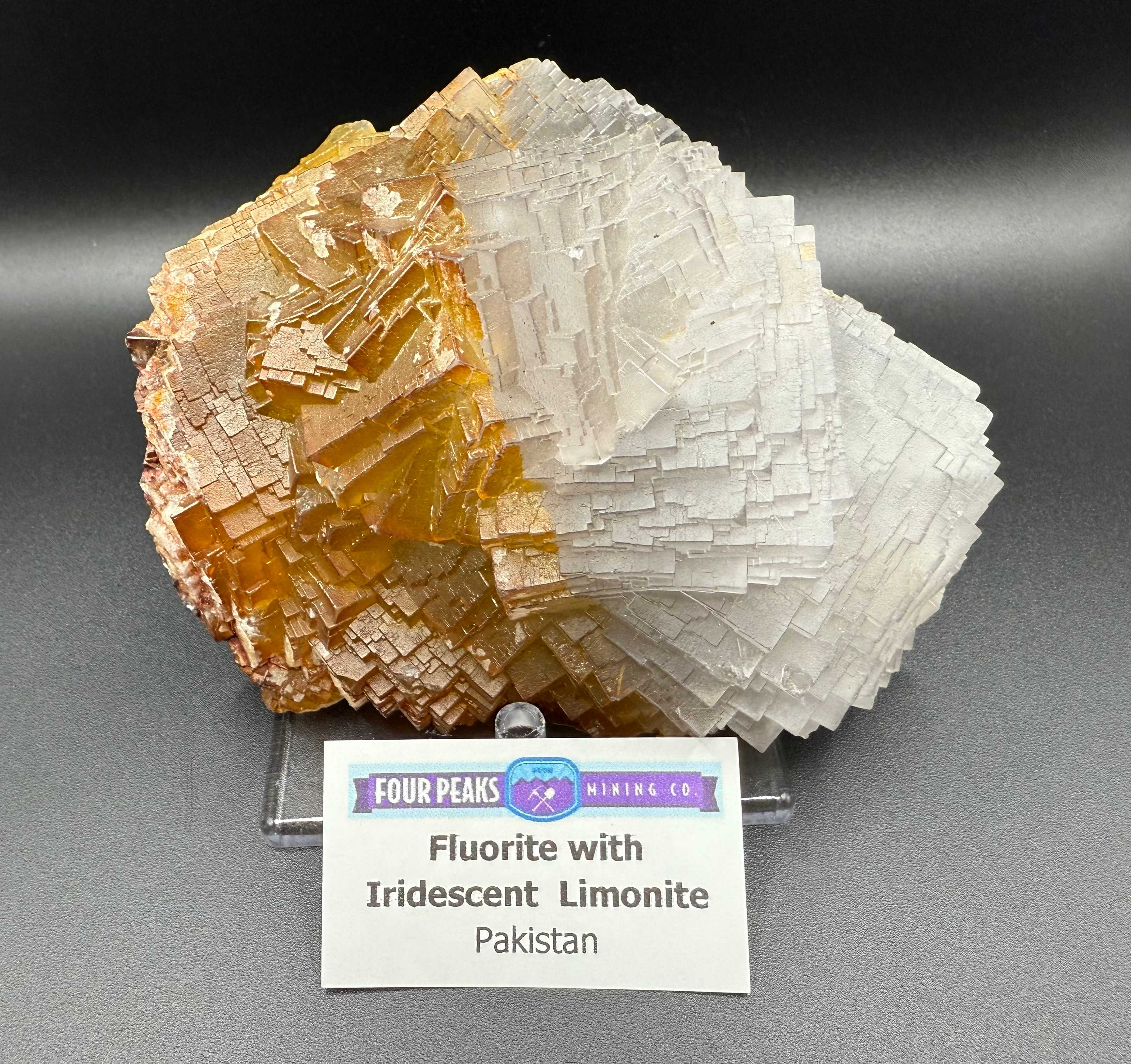 Fluorite w/ Iridescent Limonite