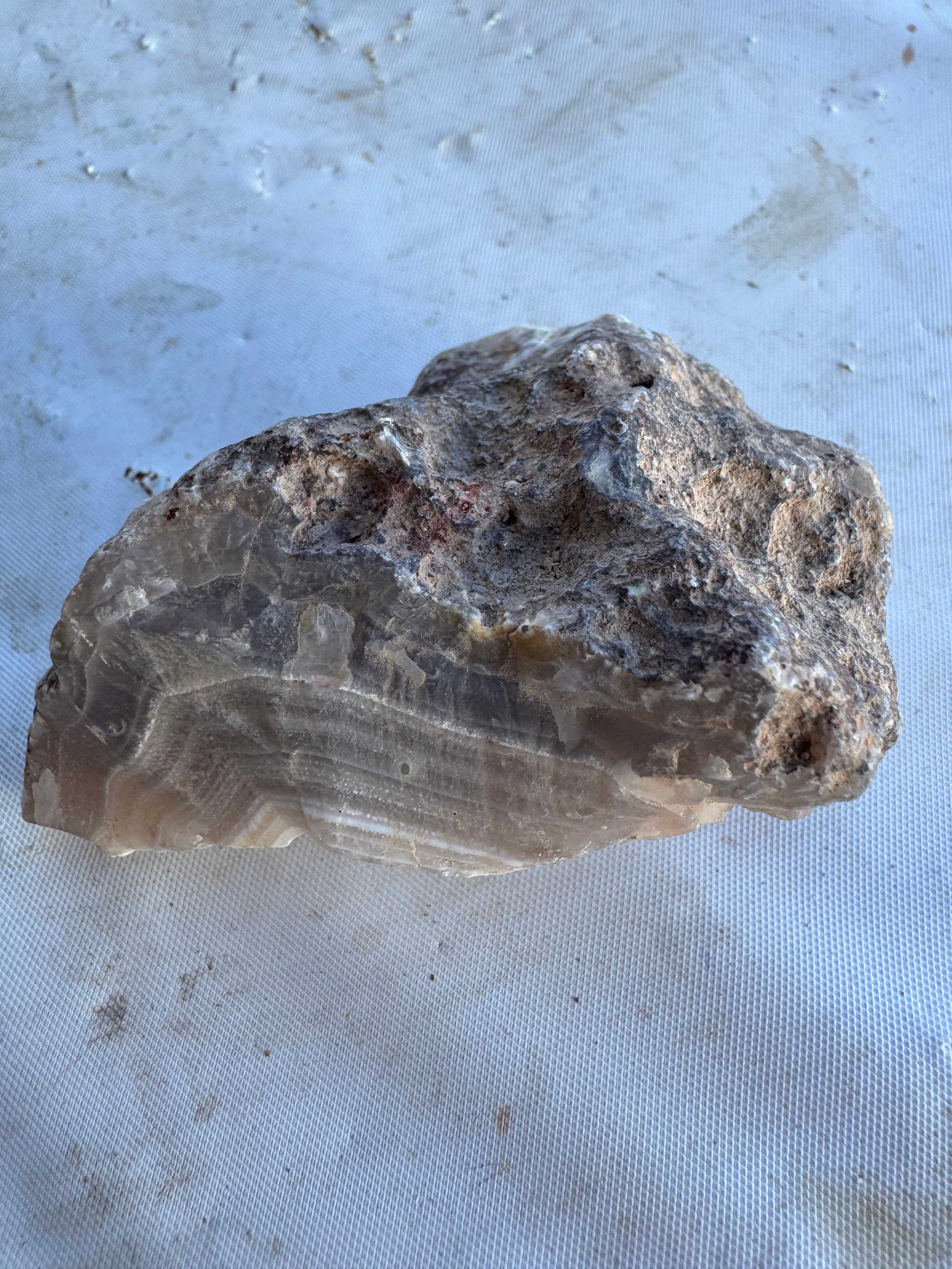 Calandra Agate
