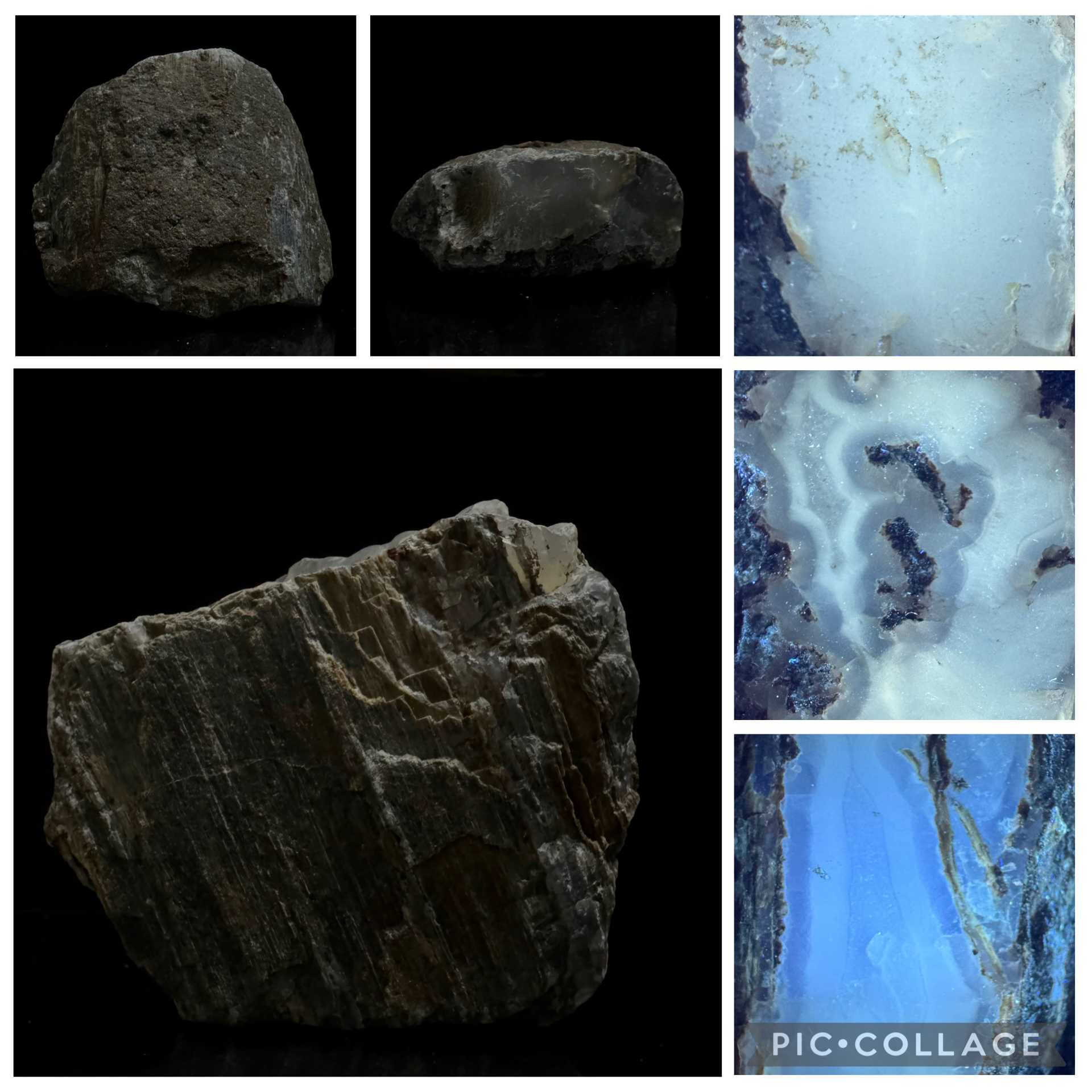 Gem-Grade Agatized Petrified Wood / Limb Cast