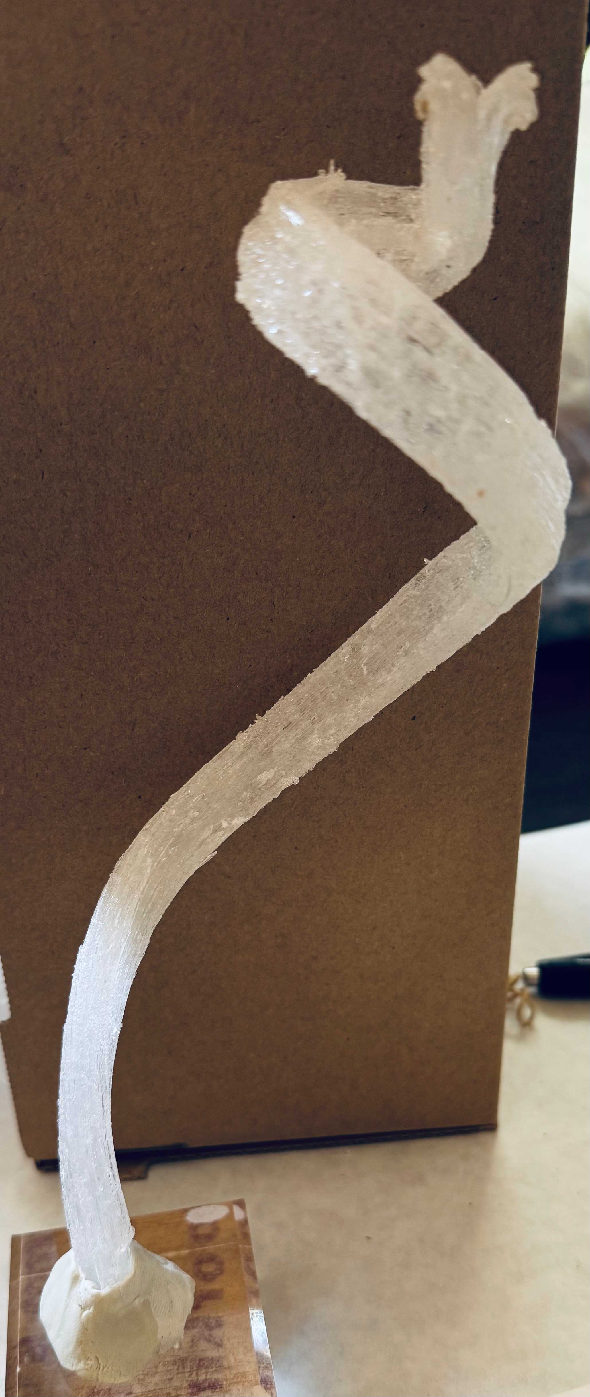 Ram’s Horn