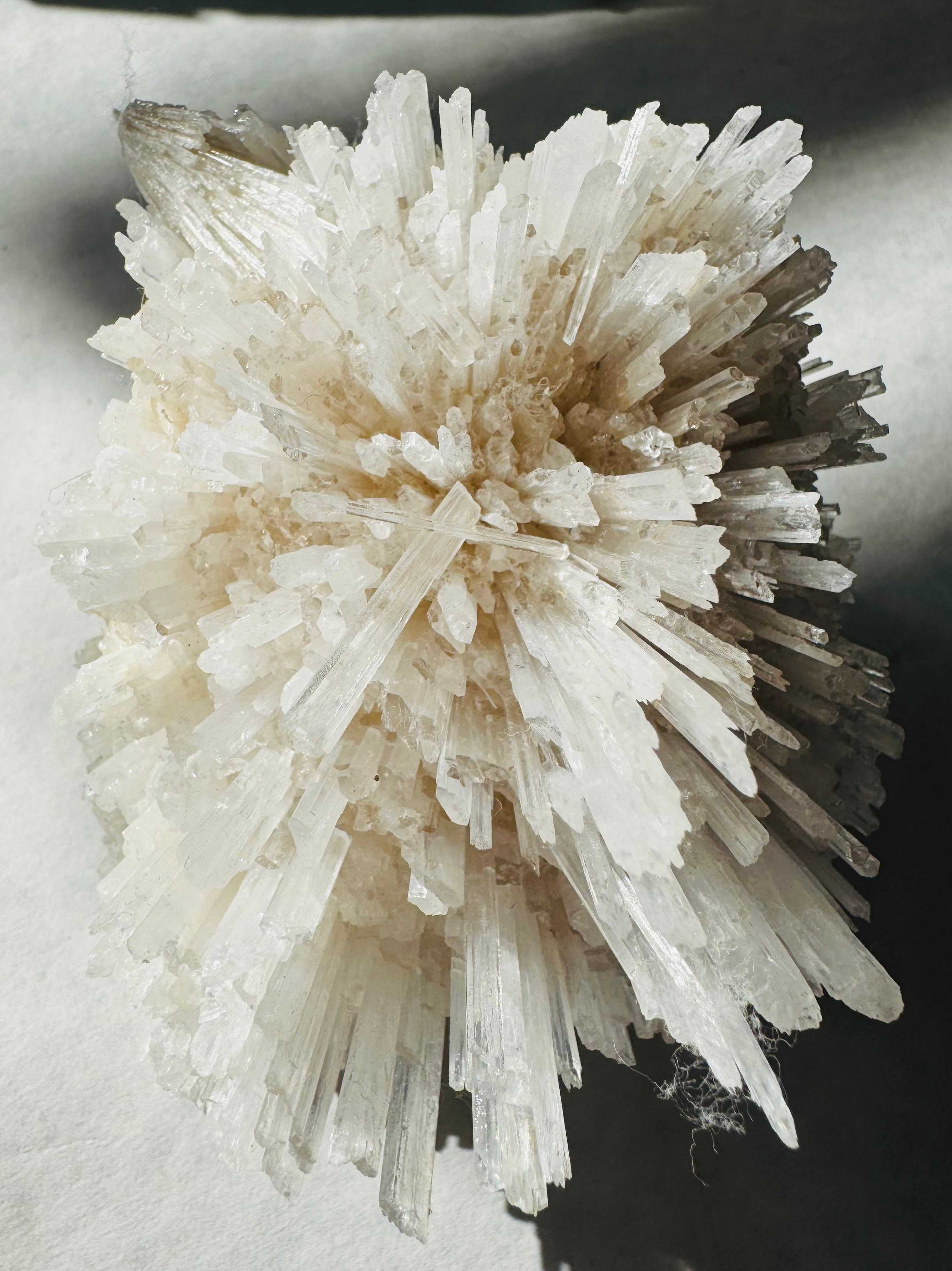 Scolecite