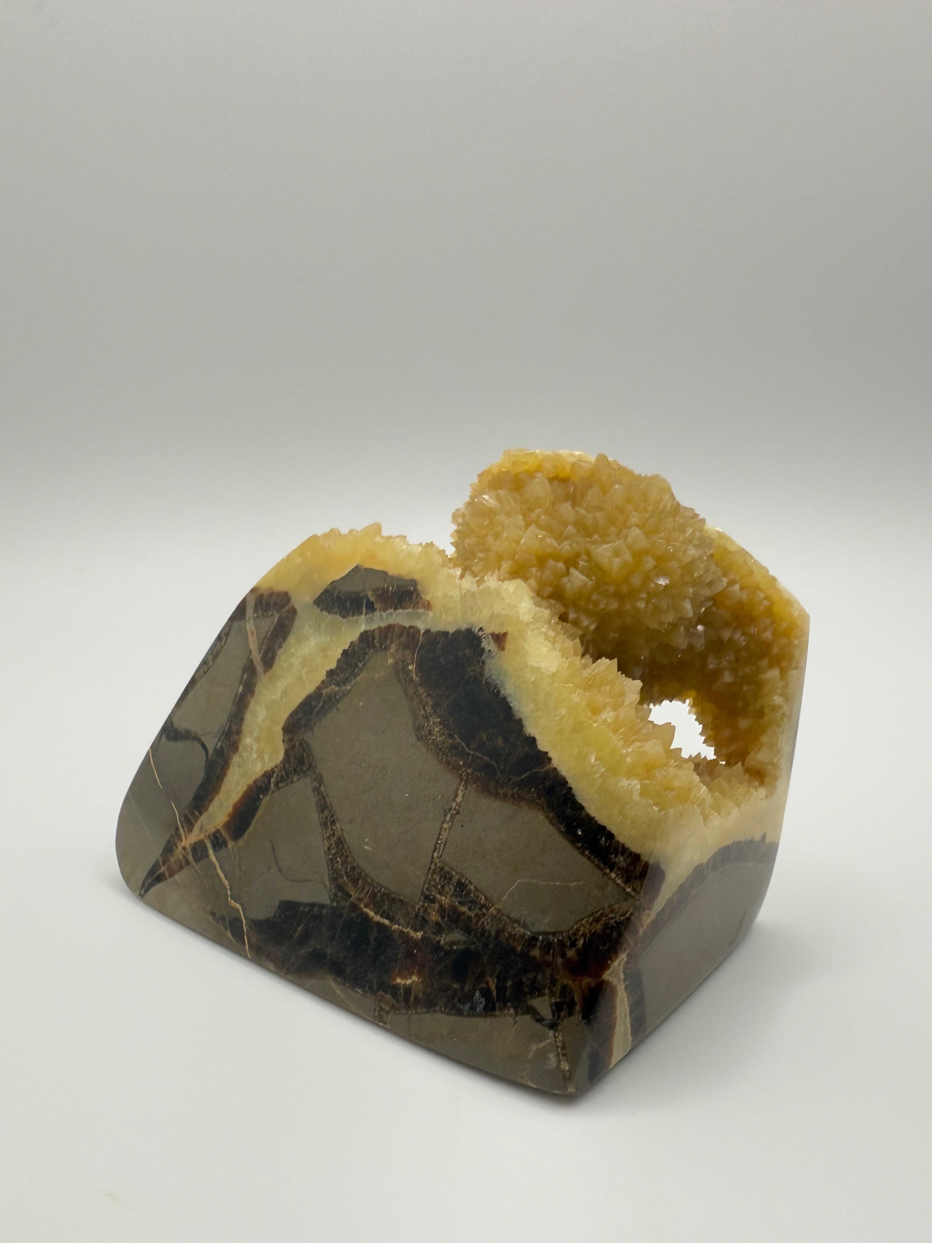 Septarian Nodule