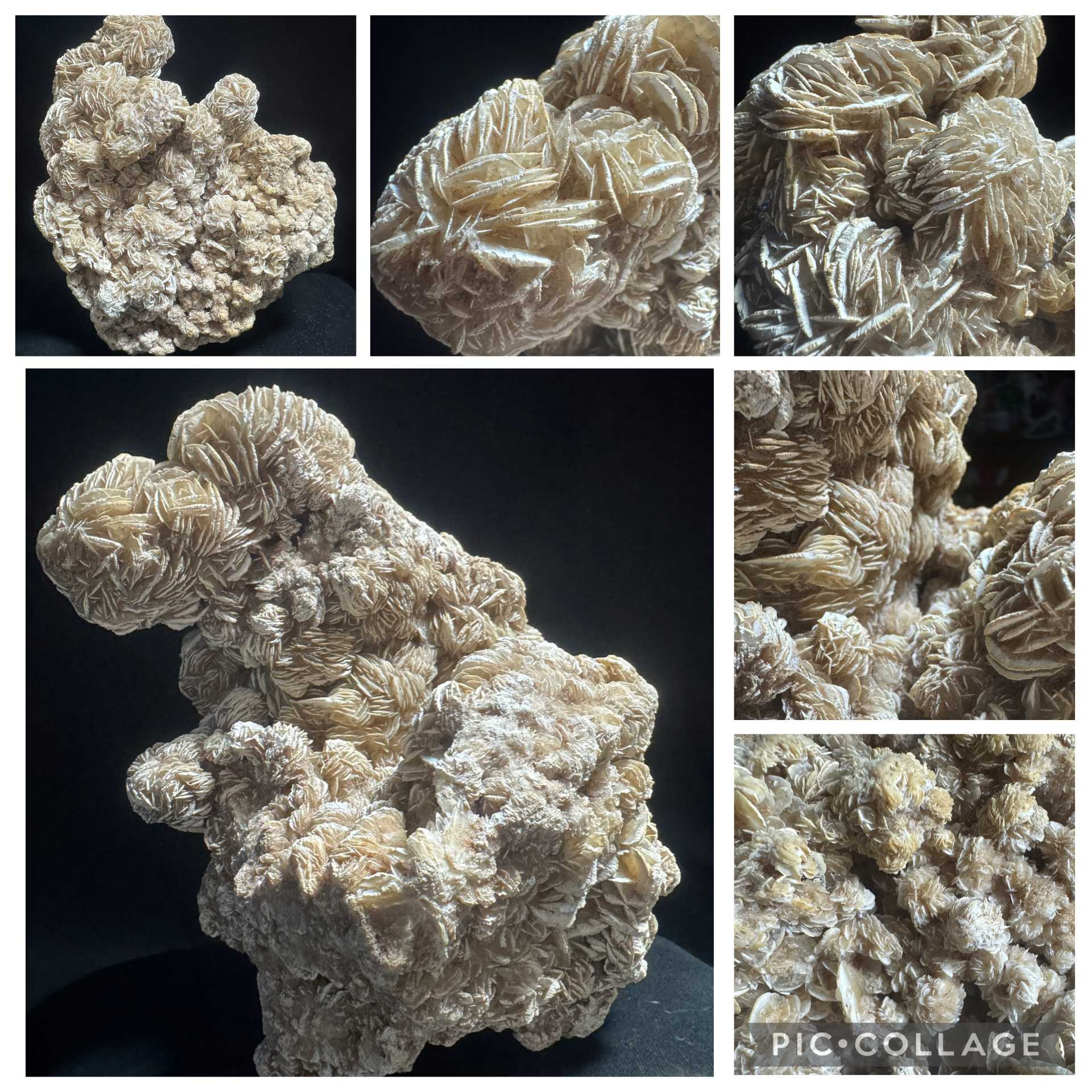 Desert Rose Selenite 