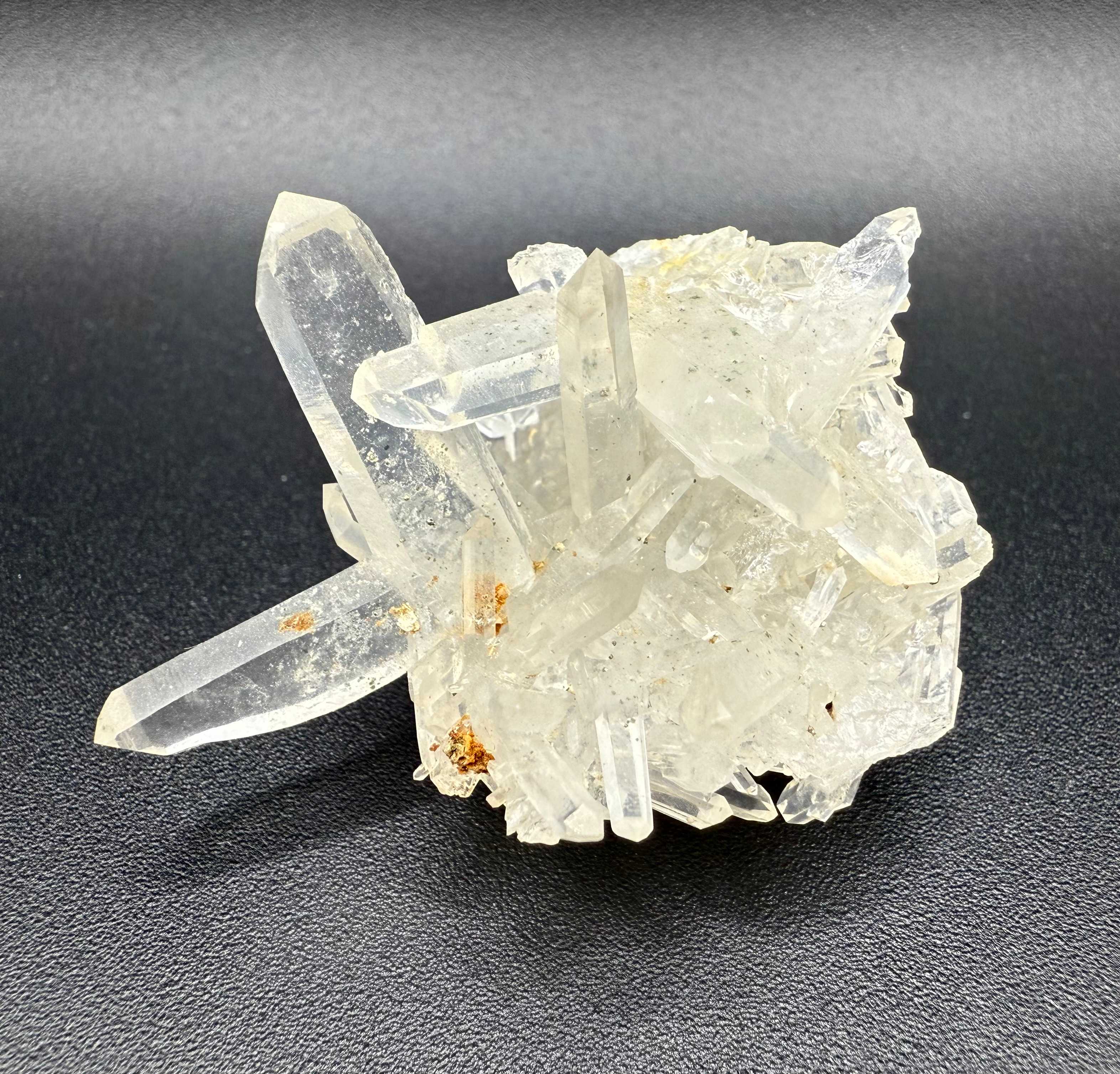 Japan Law Quartz