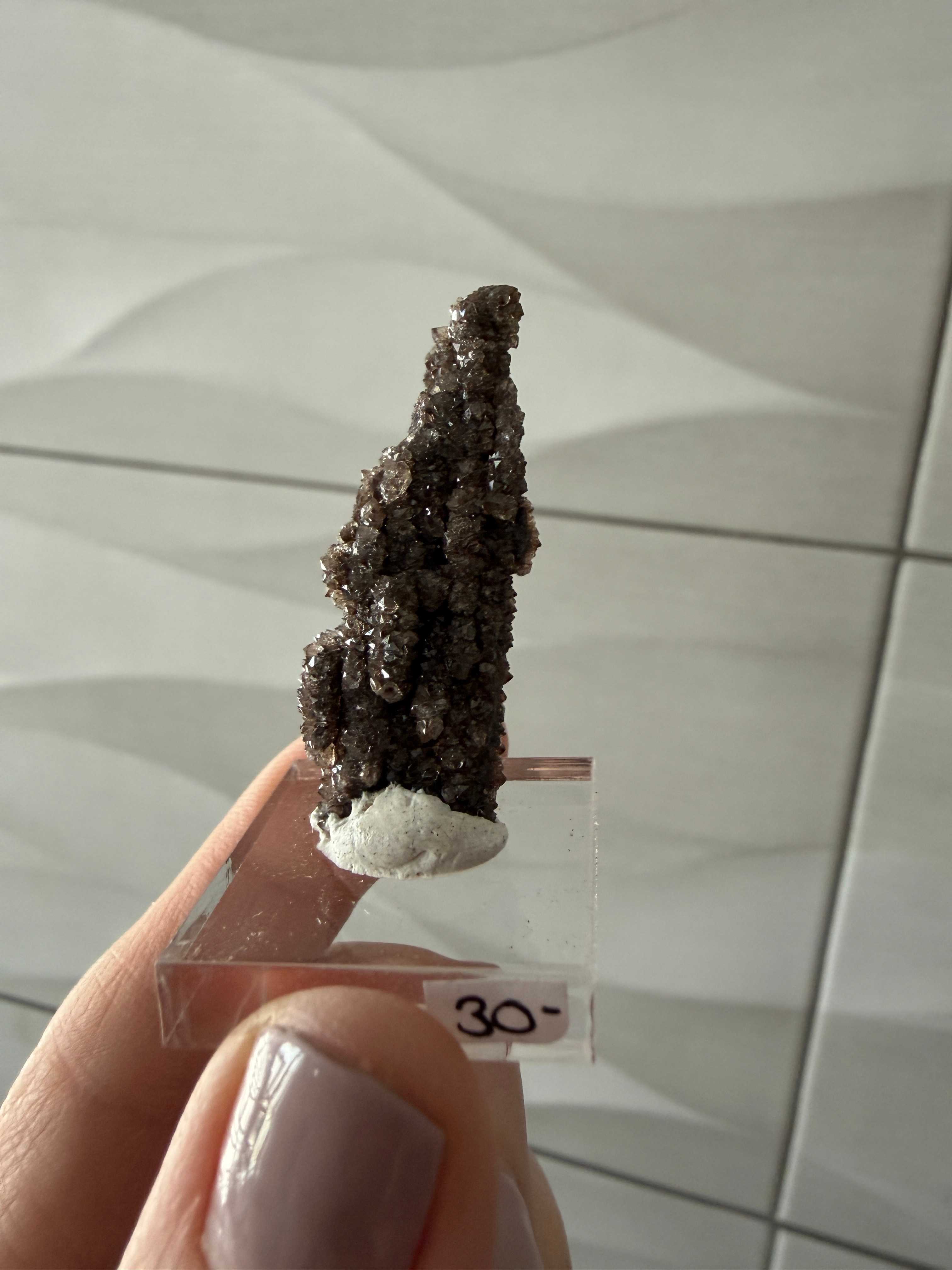 Smoky Quartz with Carbon on Fossil Wood