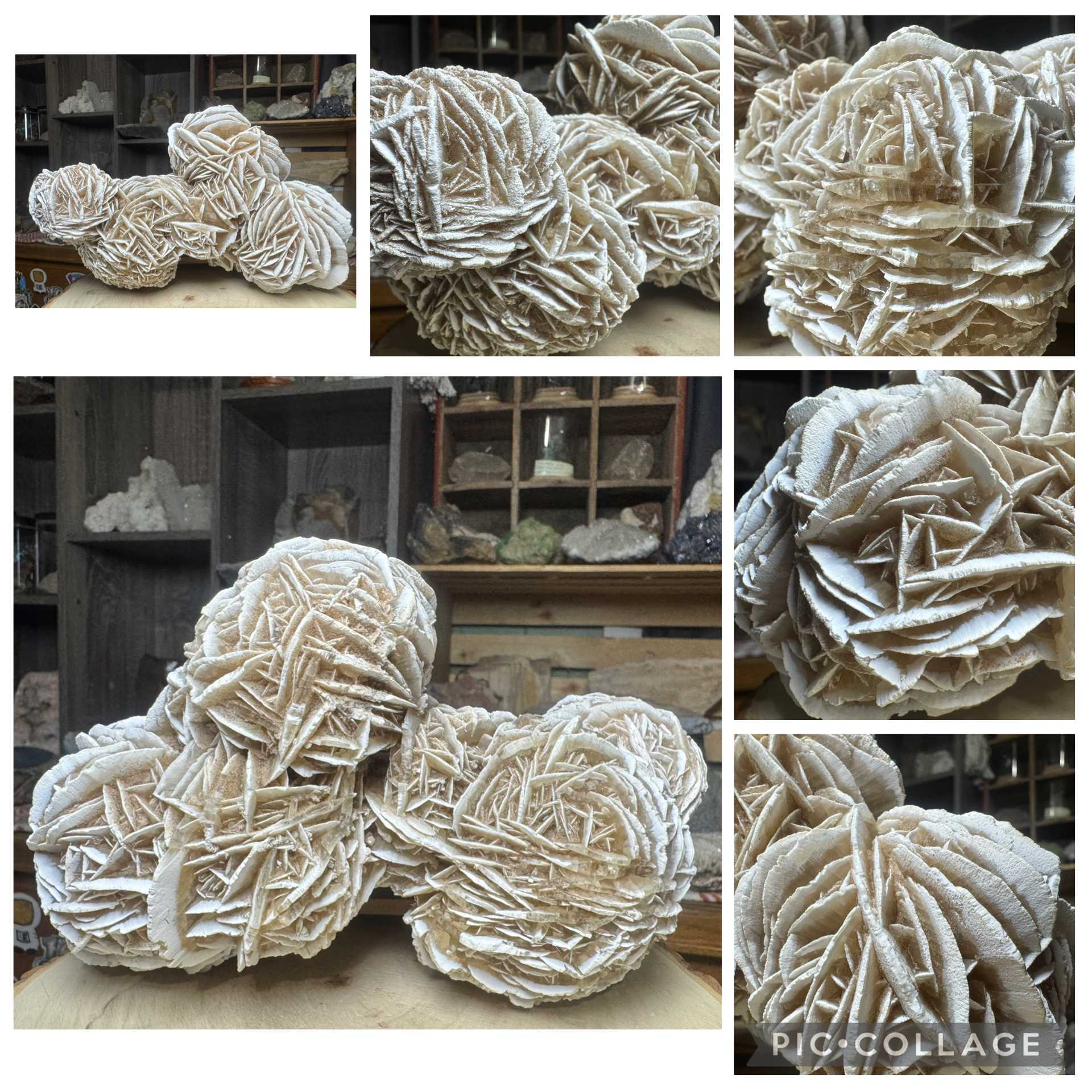 Gypsum Desert Rose Cluster