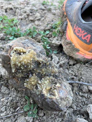 Septarian Nodule