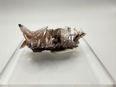 Butterfly twin calcite