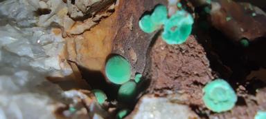 Perfect Malachite from Neubulach Blackforest