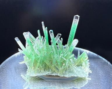 Grass Blades