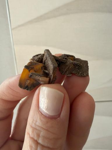 Wulfenite & Endlichite