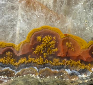 Cut and Polished Moroccan Agate 