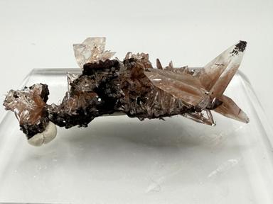 Butterfly twin calcite