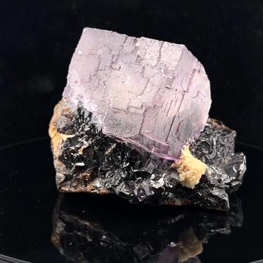 Elmwood Fluorite