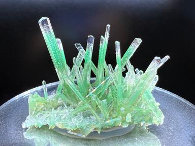 Grass Blades