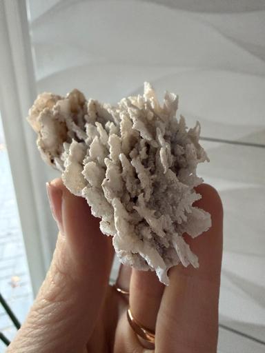 Sheep's Bridge Agate