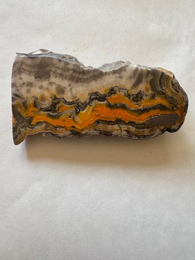  Bumblebee Jasper