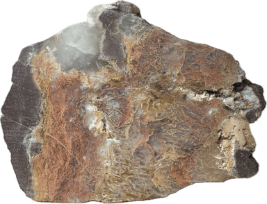 Maury Mountain Moss Agate
