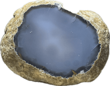 Polished Brazilian Agate Nodule 