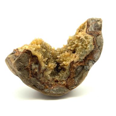 Septarian Nodule