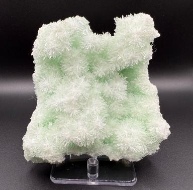 Green Gypsum Cluster