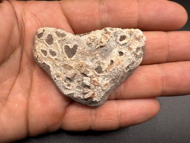 Heart on Heart